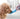 HIDRATADOR PARA MASCOTAS - PET - HYDRATOR® - MOLA VARIEDADES