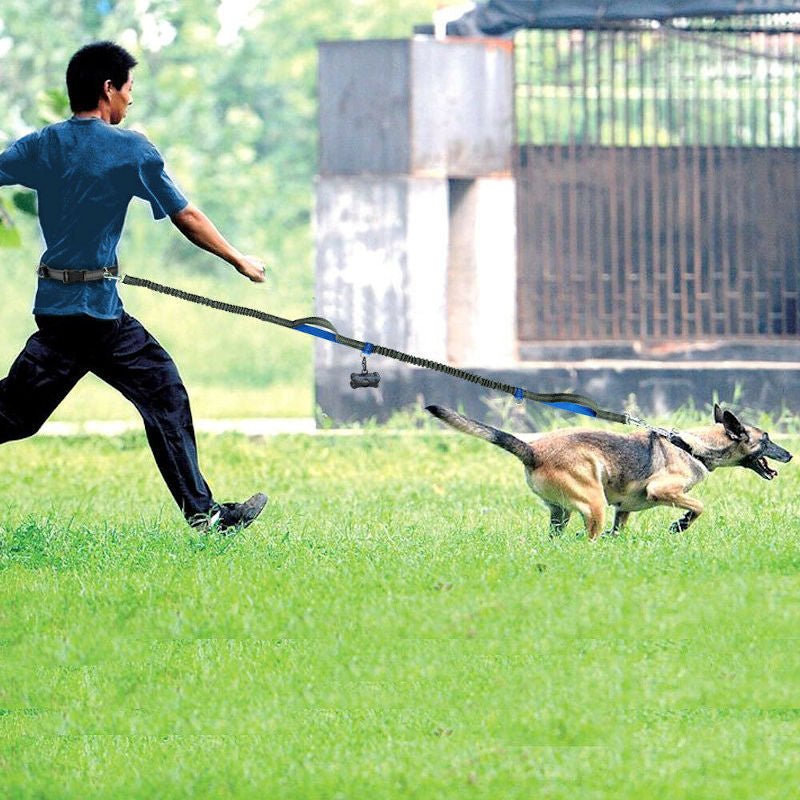 CORREA DE PERROS ELASTICA “HANDS-FREE-STRAP” - MOLA VARIEDADES
