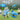 Pelota Ovni! Súper divertida - MOLA VARIEDADES